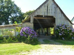 le hangar du gîte vu de coté et de chaque côté de l'entrée des hortensias bleus et violets