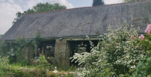 vue poteau  en pierre du hangar et un arbuste fleuri blanc