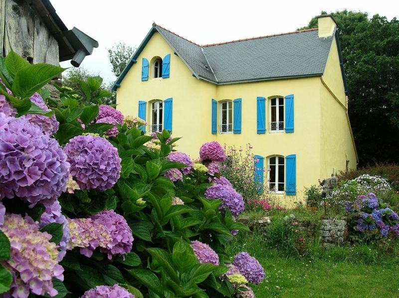 notre gîte de vacances à Melgven, maison jaune aux volets bleus avec le jardin et les hortensias